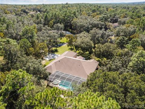 1369 W Mineral Ct, Hernando, FL 34442 photo 13