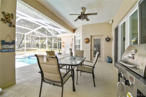 1369 W Mineral Ct, Hernando, FL 34442 photo 66