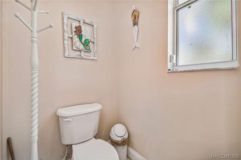 1369 W Mineral Ct, Hernando, FL 34442 photo 50