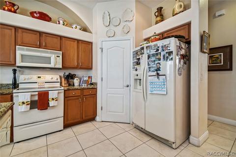 1369 W Mineral Ct, Hernando, FL 34442 photo 63