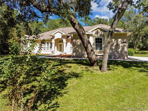 1369 W Mineral Ct, Hernando, FL 34442 photo 6