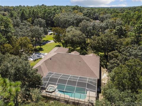 1369 W Mineral Ct, Hernando, FL 34442 photo 15