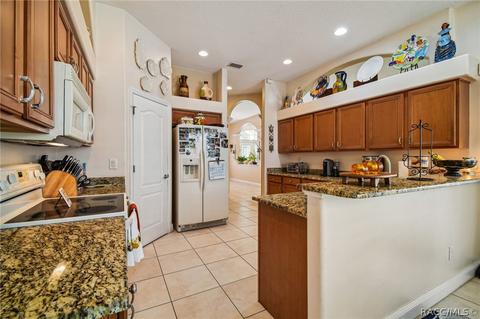 1369 W Mineral Ct, Hernando, FL 34442 photo 59