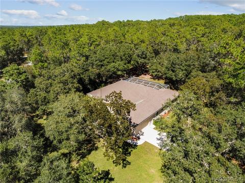 1369 W Mineral Ct, Hernando, FL 34442 photo 8