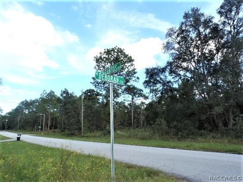 7107 N Deborah Ter, Citrus Springs, FL 34434
