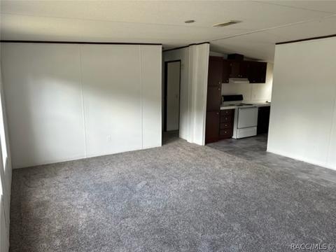 1230 E Ray St, Hernando, FL 34442 photo 11