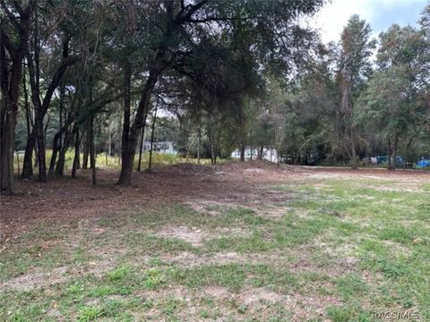 1230 E Ray St, Hernando, FL 34442 photo 27