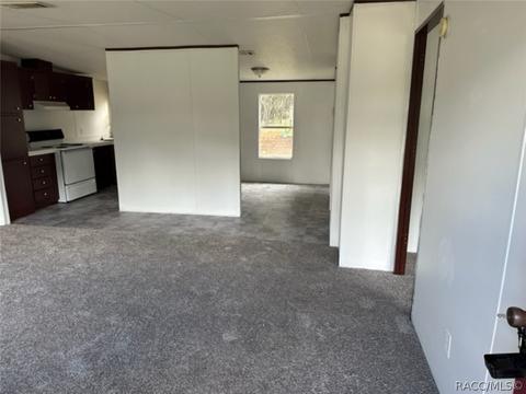 1230 E Ray St, Hernando, FL 34442 photo 9