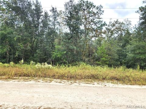 Lot 1, Williston, FL 32696 photo 8