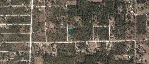 Lot 1, Williston, FL 32696 photo 11