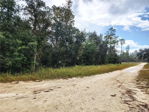 Lot 1, Williston, FL 32696 photo 7