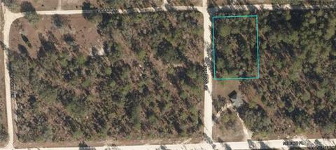 Lot 1, Williston, FL 32696 photo 10