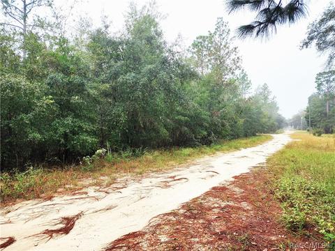 Lot 1, Williston, FL 32696 photo 6