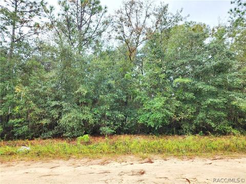 Lot 1, Williston, FL 32696 photo 5