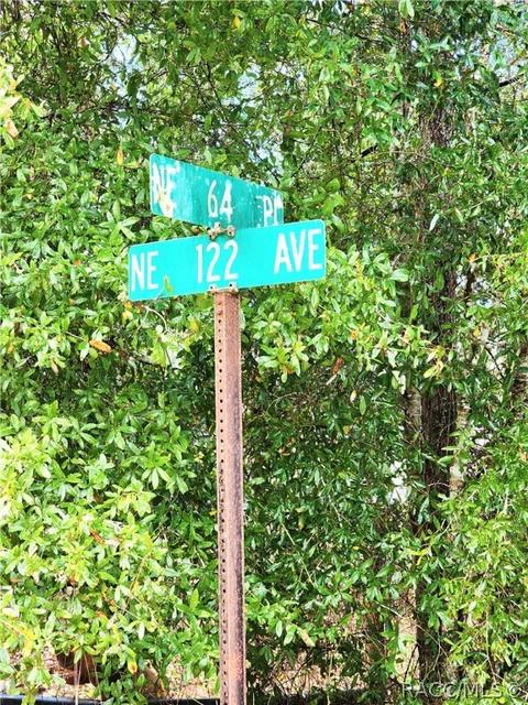 Lot 1, Williston, FL 32696 photo 2