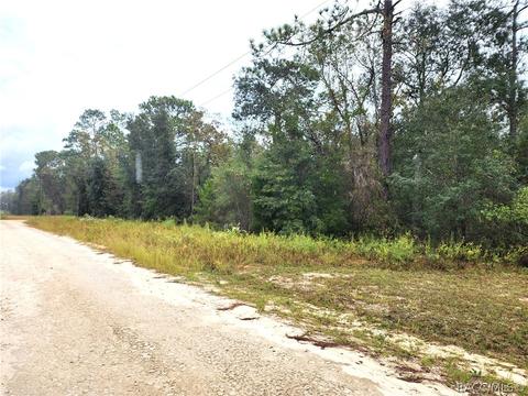 Lot 1, Williston, FL 32696 photo 9