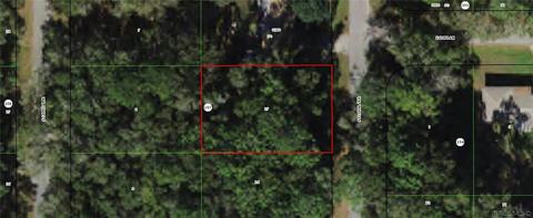 3970 S Floral Ter, Inverness, FL 34452