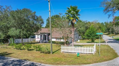 3622 N Tyrone Ave, Hernando, FL 34442 photo 44
