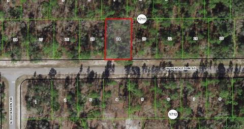 1819 W Pendleton St, Citrus Springs, FL 34434