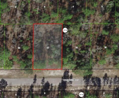 1831 W Pendleton St, Citrus Springs, FL 34434