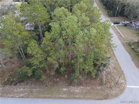 9521 N Old Mill Way, Citrus Springs, FL 34433