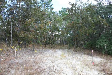 3447 W Hayward Ln, Citrus Springs, FL 34433