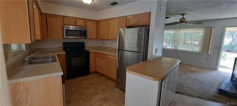 3527 E Foliage Ln, Hernando, FL 34442 photo 20