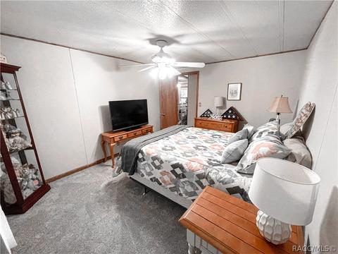 217 E Cason Blvd, Inglis, FL 34449 photo 21
