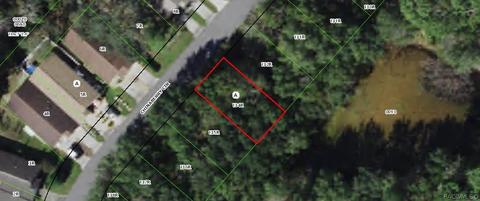 90 Chinaberry Cir, Homosassa, FL 34446