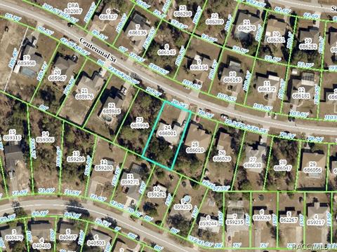 13004 Centennial St, Spring Hill, FL 34609 photo 25