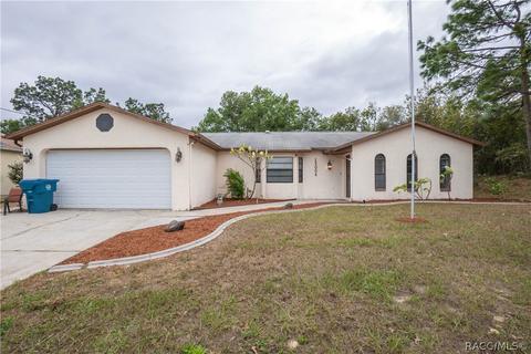 13004 Centennial St, Spring Hill, FL 34609 photo 1