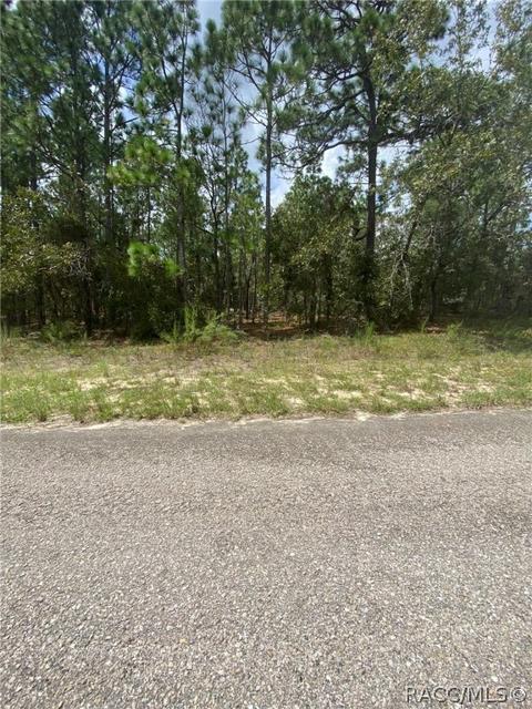8938 N Farrington Dr, Citrus Springs, FL 34433