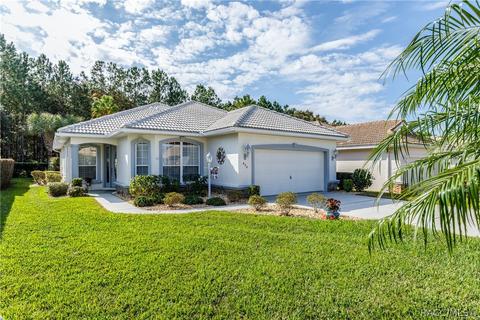 870 W Silver Meadow Loop, Hernando, FL 34442 photo 1