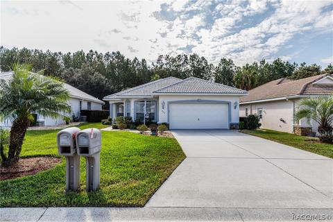 870 W Silver Meadow Loop, Hernando, FL 34442 photo 36