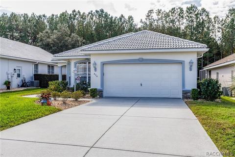 870 W Silver Meadow Loop, Hernando, FL 34442 photo 35