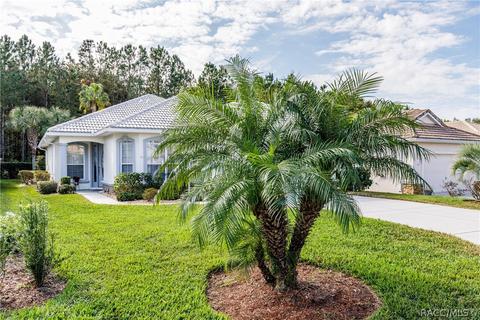 870 W Silver Meadow Loop, Hernando, FL 34442 photo 50