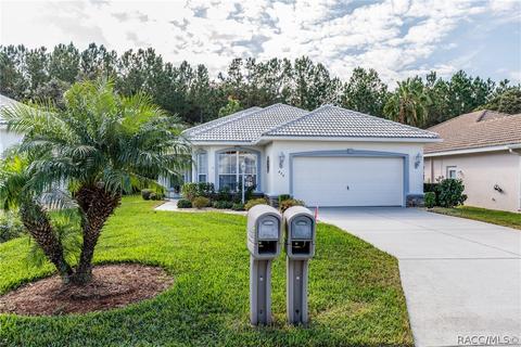 870 W Silver Meadow Loop, Hernando, FL 34442 photo 49