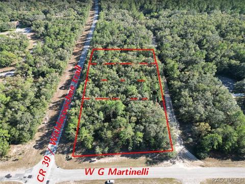346 E Withlacoochee Trl, Dunnellon, FL 34434