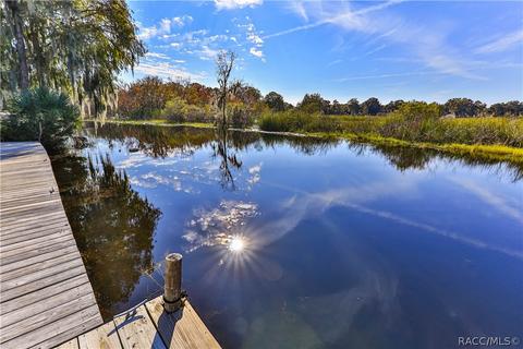 9237 E Beech Cir, Inverness, FL 34450 photo 40