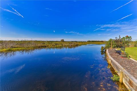 9237 E Beech Cir, Inverness, FL 34450 photo 41