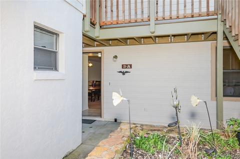 300 E Glassboro Ct #3A, Hernando, FL 34442 photo 32