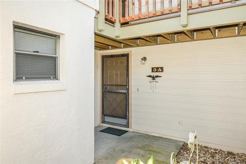 300 E Glassboro Ct #3A, Hernando, FL 34442 photo 4