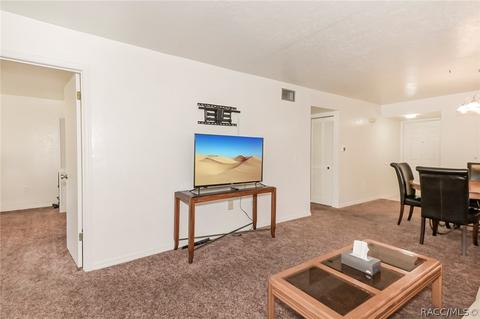 300 E Glassboro Ct #3A, Hernando, FL 34442 photo 6