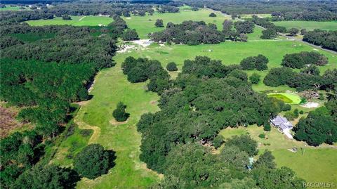 561 W C-478 Rd, Webster, FL 33597 photo 47