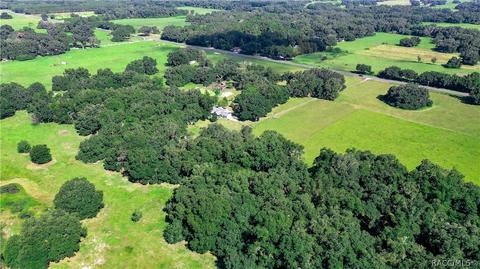 561 W C-478 Rd, Webster, FL 33597 photo 46