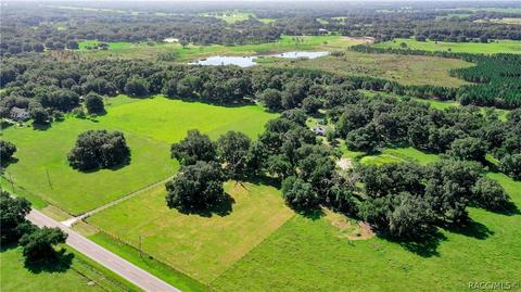 561 W C-478 Rd, Webster, FL 33597 photo 42