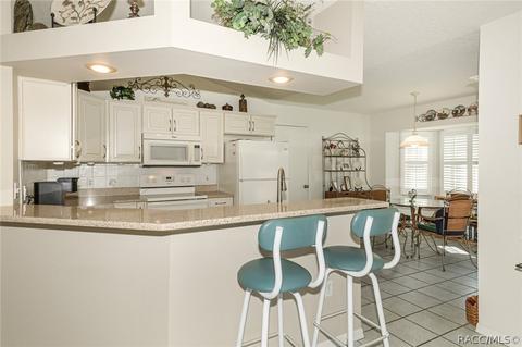 659 W Sunbird Path, Hernando, FL 34442 photo 12