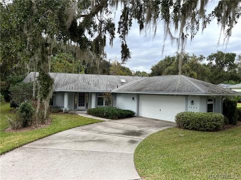 2980 N Chandler Dr, Hernando, FL 34442 photo 1