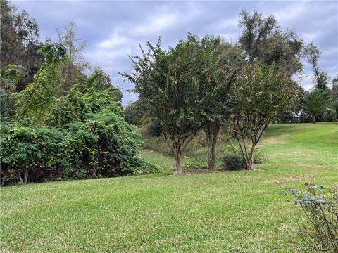 2980 N Chandler Dr, Hernando, FL 34442 photo 4