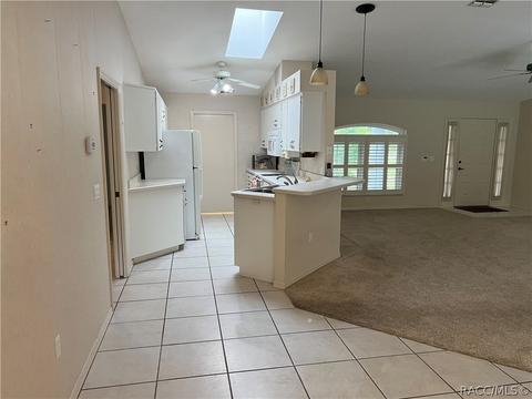 2980 N Chandler Dr, Hernando, FL 34442 photo 8